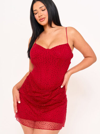 SD1964AP - RHINESTONE ON OVERLAY MESH MINI DRESS